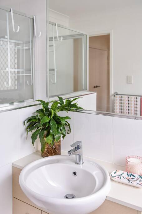 The Arcadia - Entire Luxurious With Huge Privacy Near Cbd * Springfield Lakes